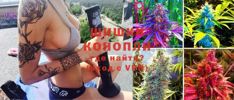 Канабис OG Kush  mega ссылки  Киселёвск 